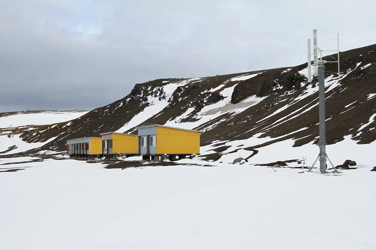 antarktyda arctowski